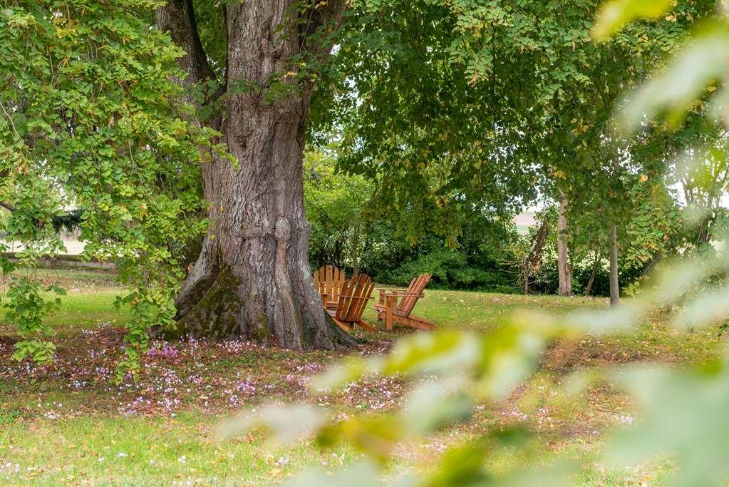 Le Domaine De Mestre, The Originals Relais Fontevraud L'Abbaye Kültér fotó